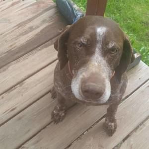 Meet your Posher, Vicki